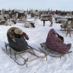 Традиционный образ жизни ненцев Ямала, Ярсалинская тундра